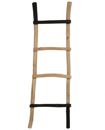 Harry ladder Designshopp 1